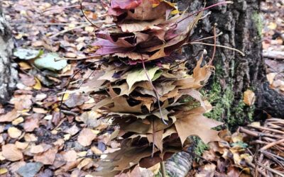 Halloween and half term