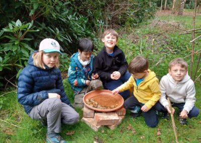 Making a water dish for insects