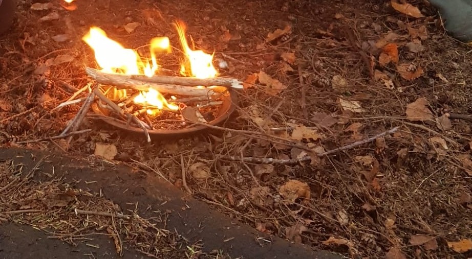 A small campfire crackling on the woodland floor at Blacknest Forest School