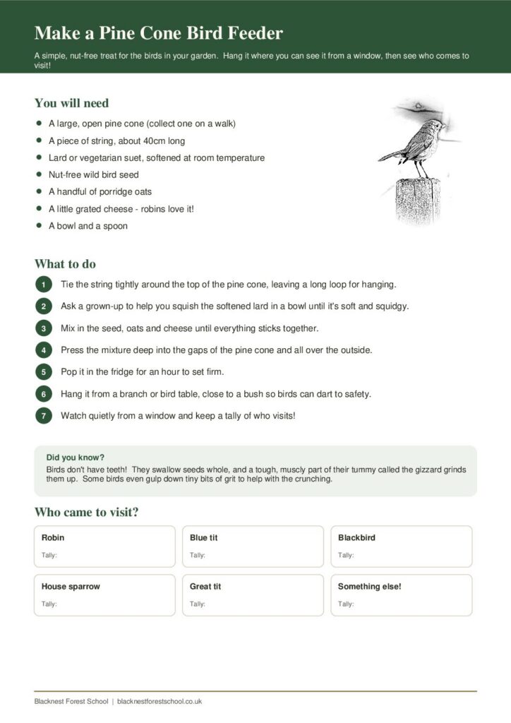 Preview of the pine cone bird feeder activity