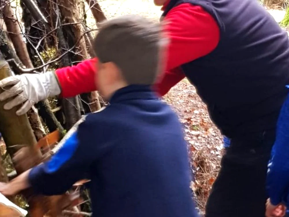 Den building in full swing - one more branch should do it!