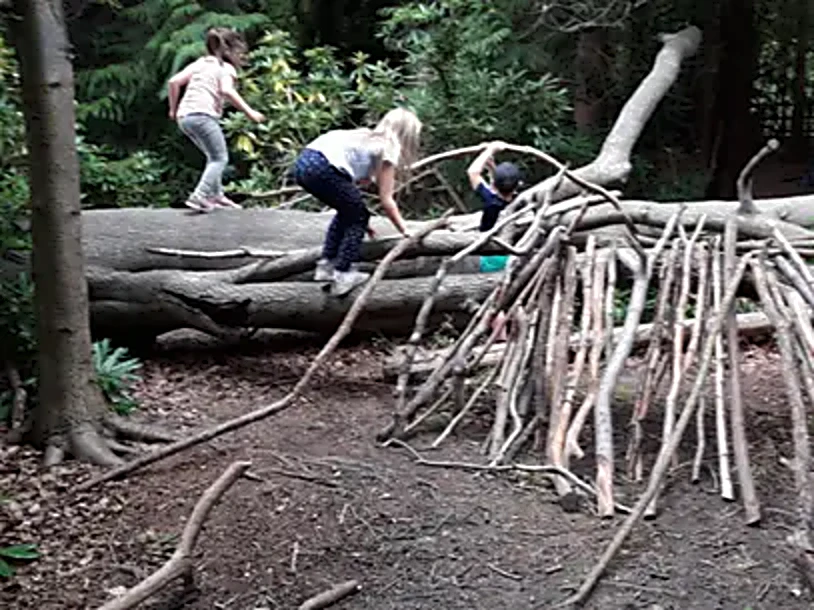 Clambering over logs on the way back to the den