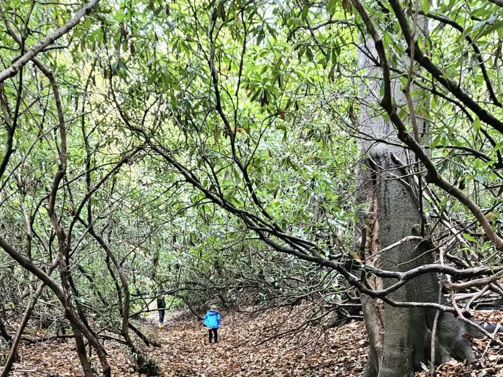 Off down the path to see what's round the corner