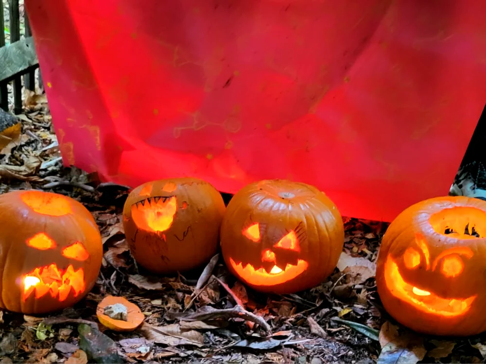 Carved pumpkins glowing outside a Halloween den