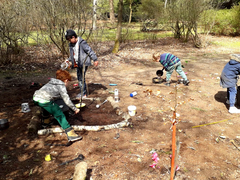 Digging in new trees for the woods of the future